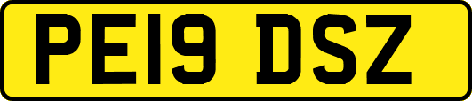PE19DSZ