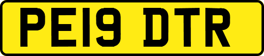 PE19DTR
