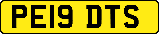PE19DTS