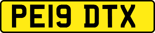 PE19DTX