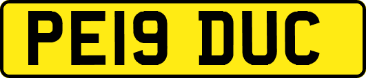 PE19DUC