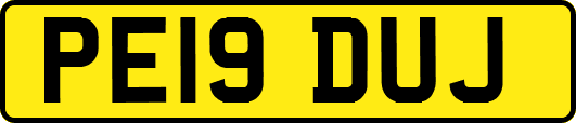 PE19DUJ