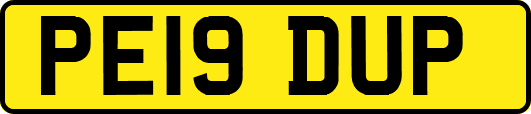 PE19DUP