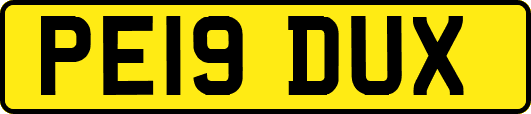 PE19DUX