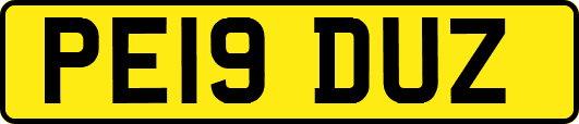 PE19DUZ