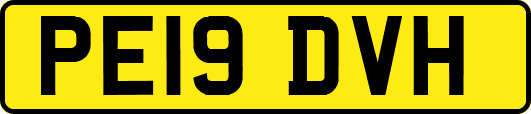 PE19DVH