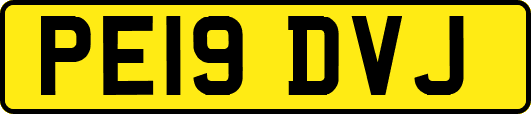PE19DVJ