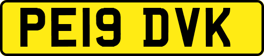 PE19DVK
