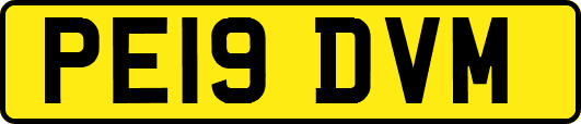 PE19DVM