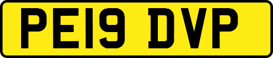 PE19DVP