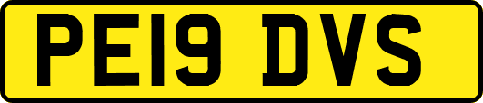 PE19DVS