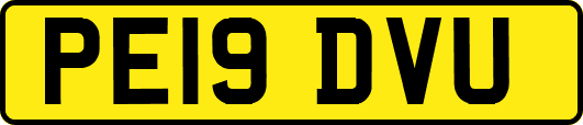 PE19DVU