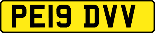 PE19DVV