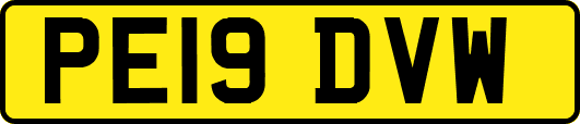 PE19DVW