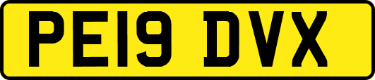 PE19DVX