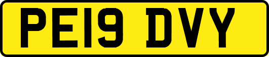 PE19DVY