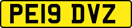 PE19DVZ