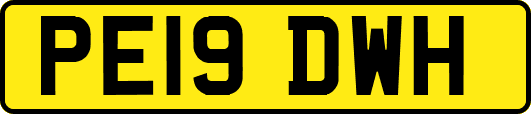 PE19DWH