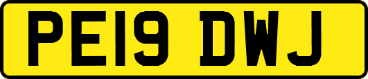 PE19DWJ