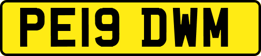 PE19DWM