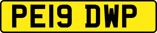 PE19DWP