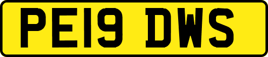 PE19DWS