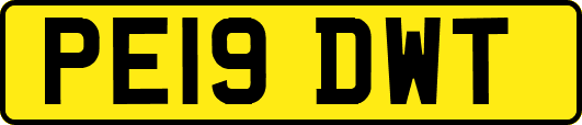 PE19DWT