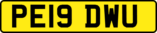 PE19DWU