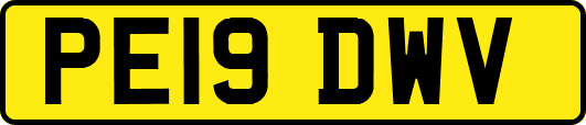 PE19DWV