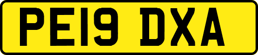 PE19DXA
