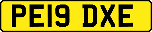 PE19DXE