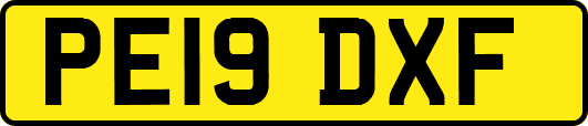 PE19DXF