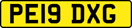 PE19DXG