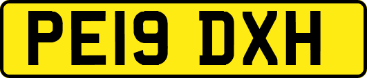 PE19DXH