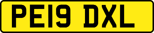 PE19DXL