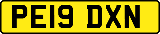 PE19DXN