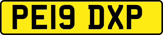 PE19DXP