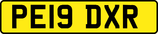 PE19DXR