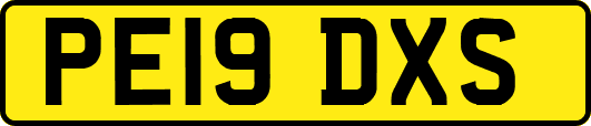 PE19DXS