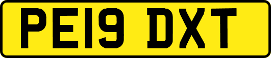 PE19DXT