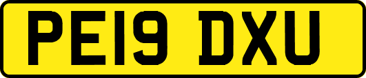 PE19DXU