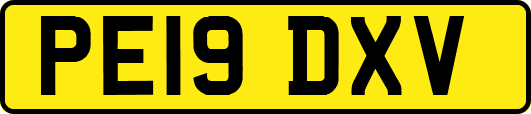 PE19DXV