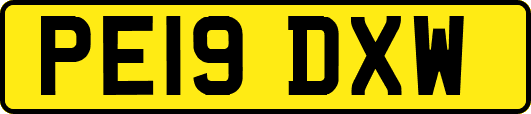 PE19DXW