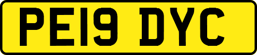 PE19DYC