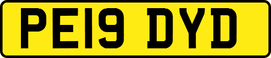 PE19DYD