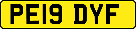 PE19DYF