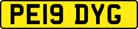 PE19DYG