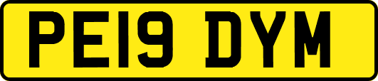 PE19DYM