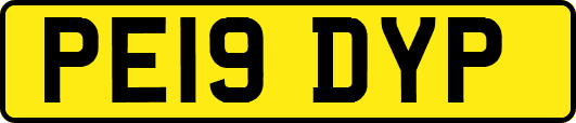 PE19DYP