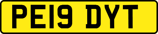 PE19DYT